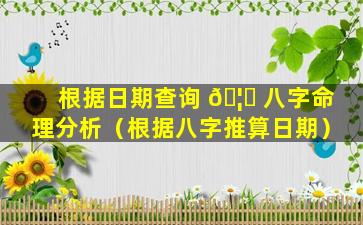 根据日期查询 🦆 八字命理分析（根据八字推算日期）